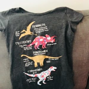 A dinosaur shirt